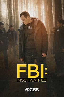 黑料社区《联邦调查局：通缉要犯 第二季 FBI: Most Wanted Season 2》免费在线观看