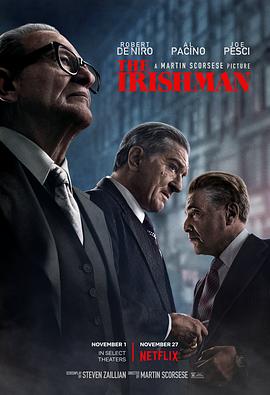 黑料社区《爱尔兰人 The Irishman》免费在线观看